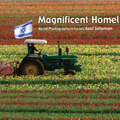 Chopping the Bulb flowers