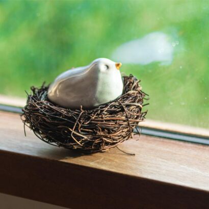 White bird in a nest