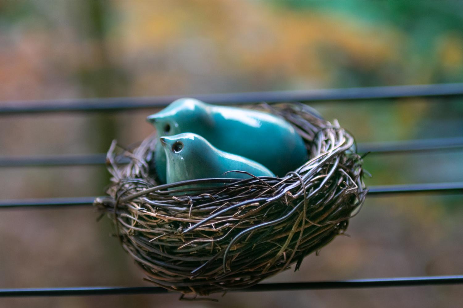 Mother bird and fledgling in a nest - Image 2