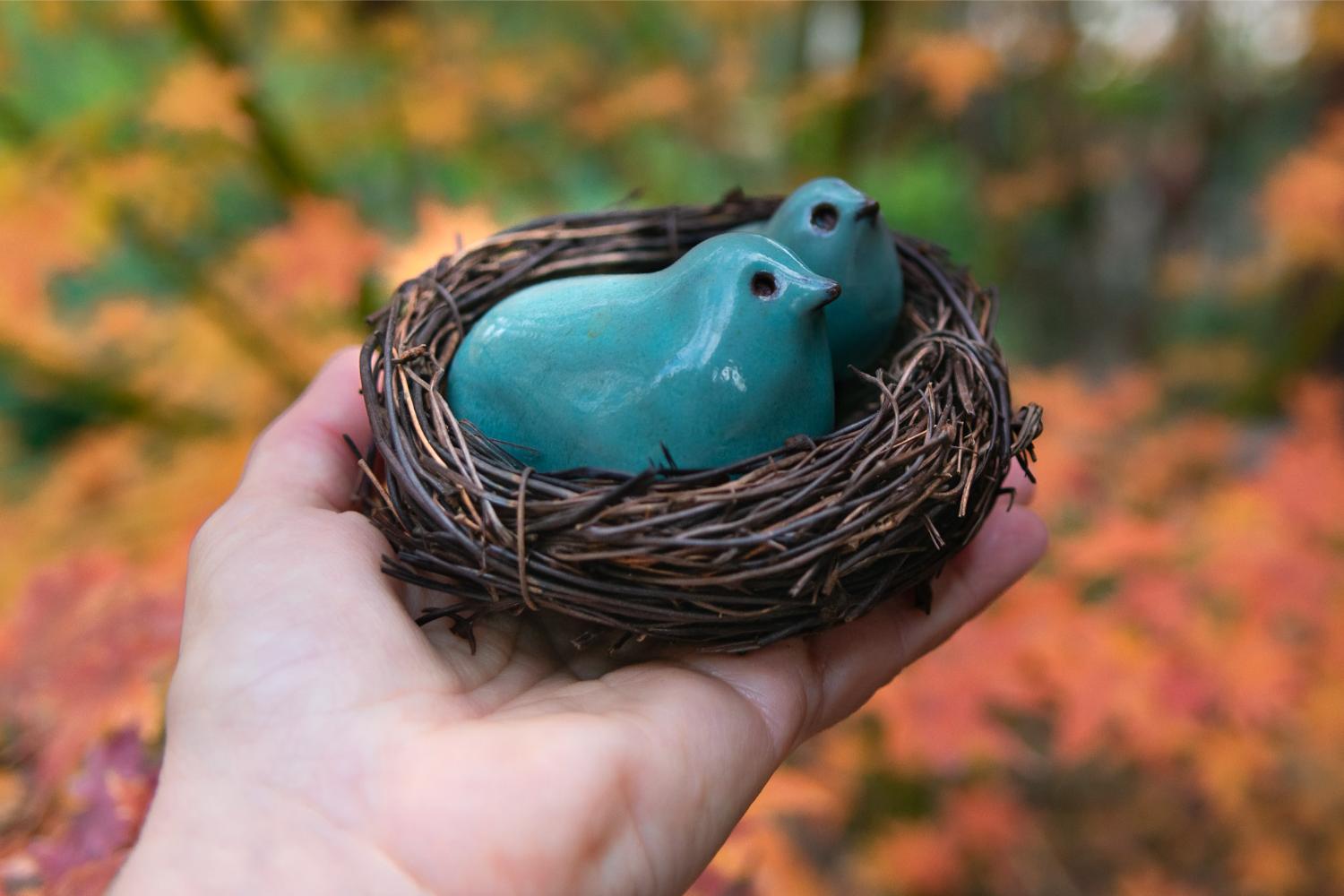 Mother bird and fledgling in a nest