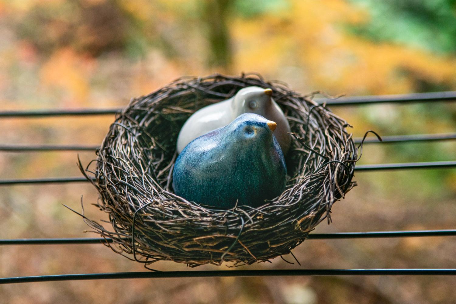 Blue and white Israeli birds in a nest - Image 2