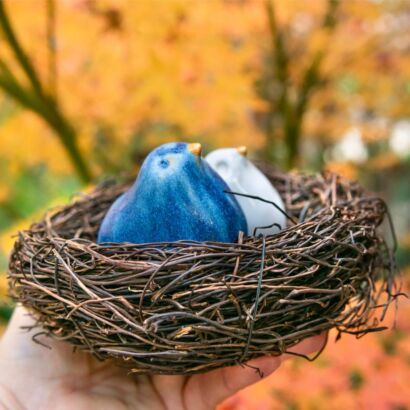 Blue and white Israeli birds in a nest