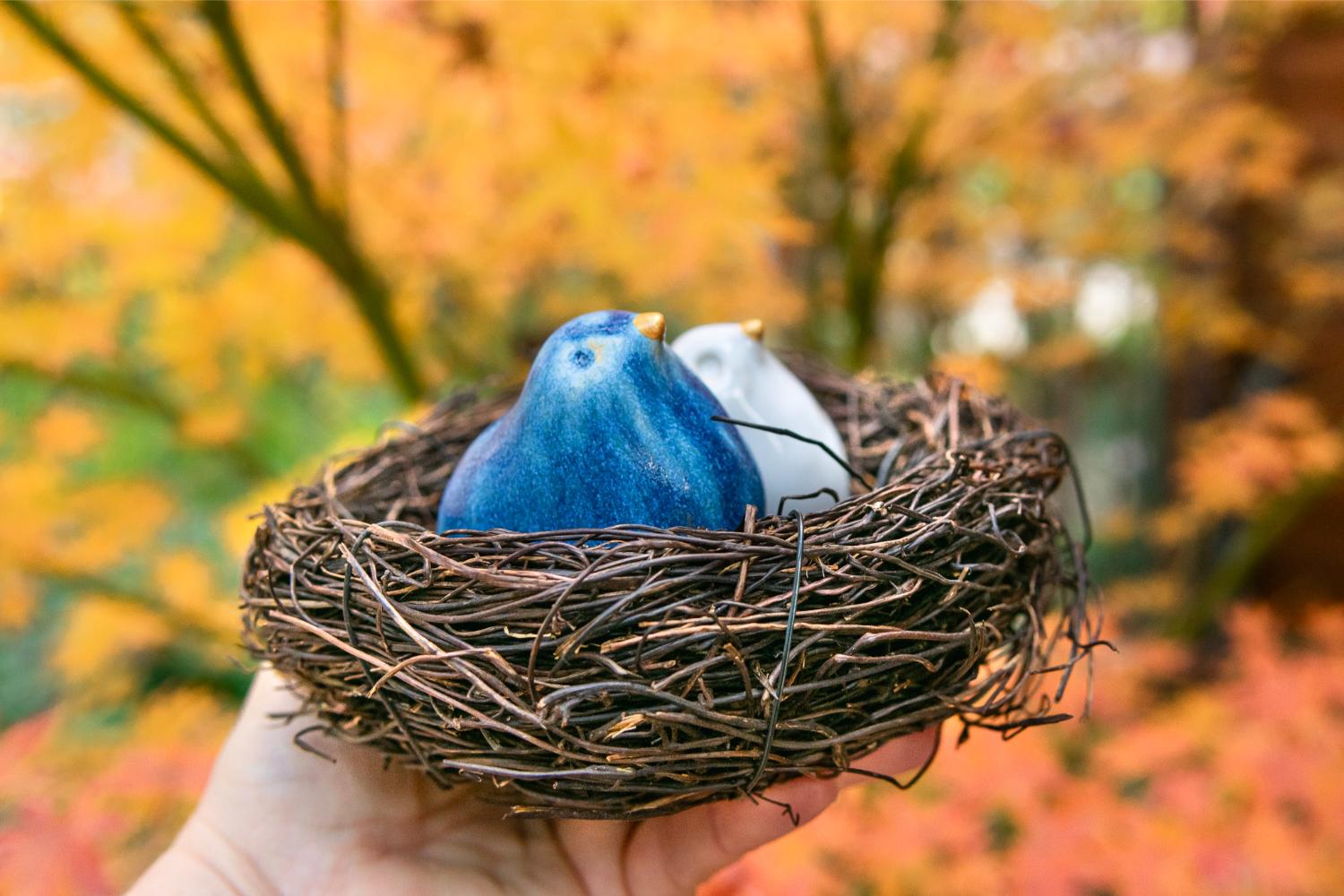 Blue and white Israeli birds in a nest