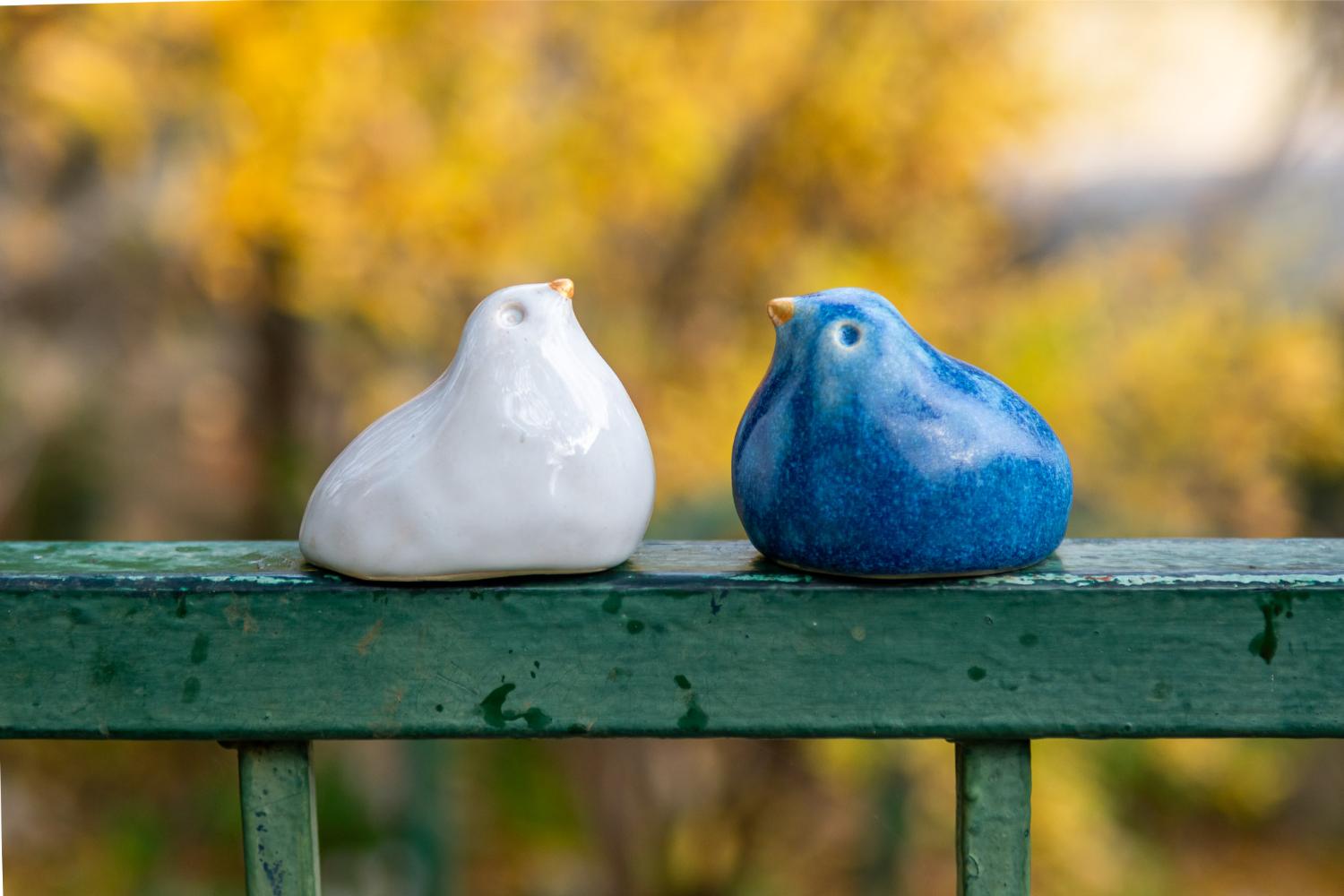 Blue and white Israeli birds in a nest - Image 3