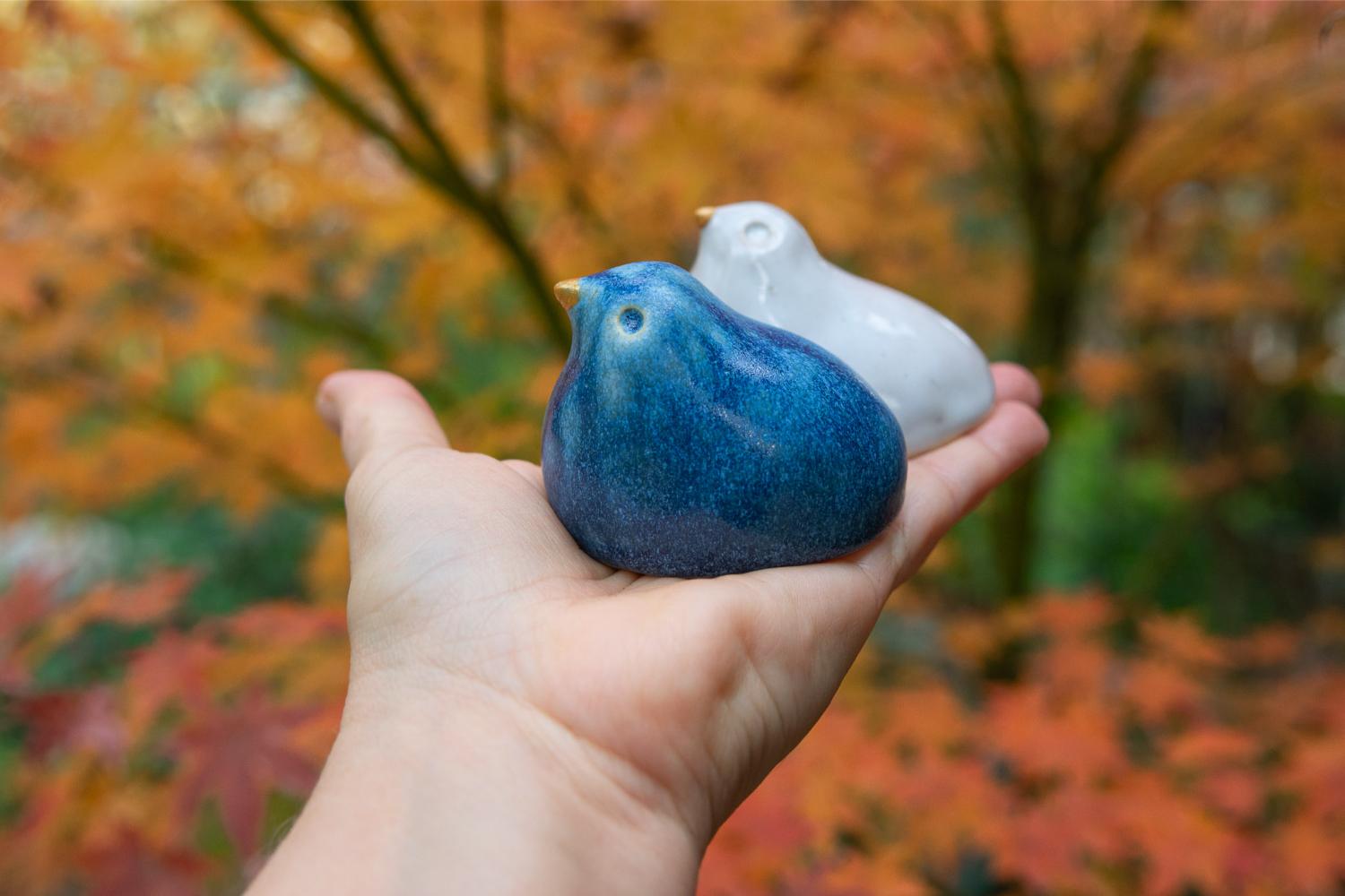 Blue and white Israeli birds in a nest - Image 4