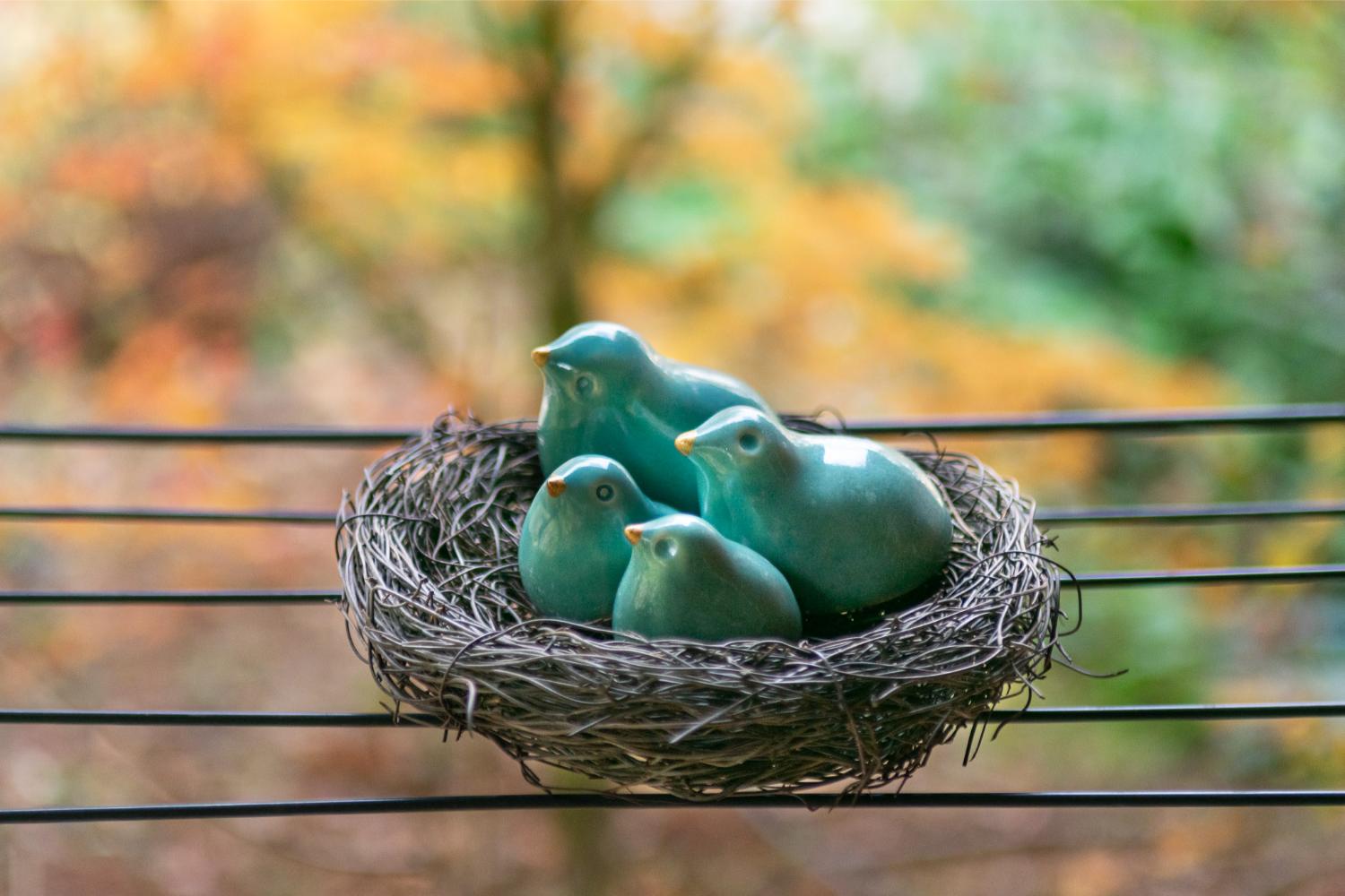 Family of turquoise birds in a nest