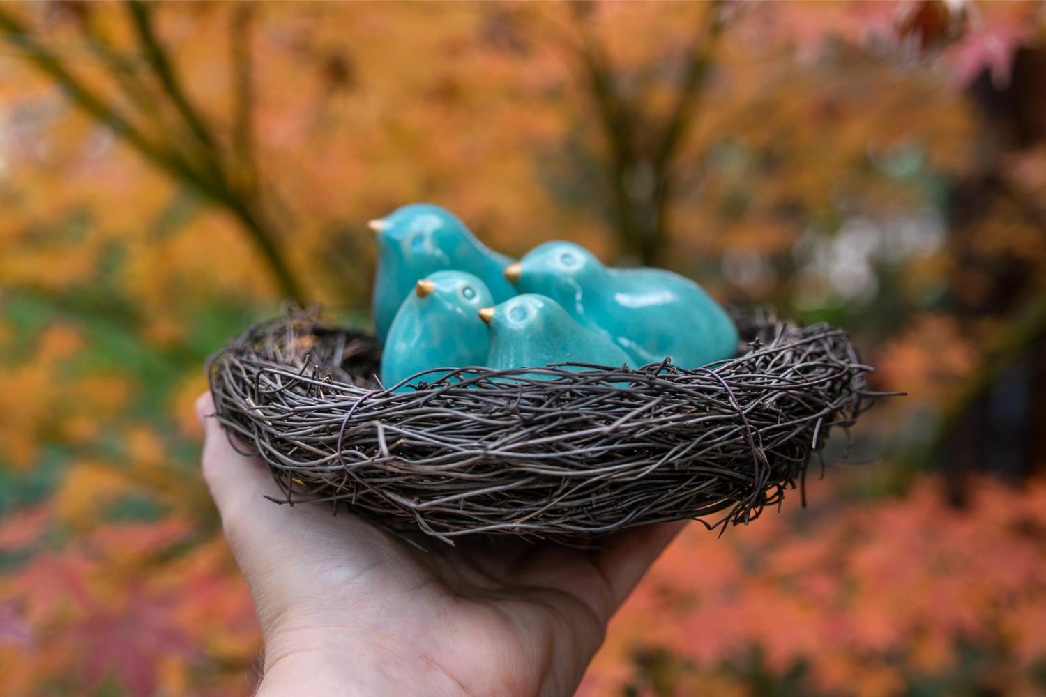 Family of turquoise birds in a nest - Image 3