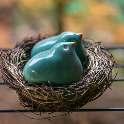 Pair of turquoise birds in a nest