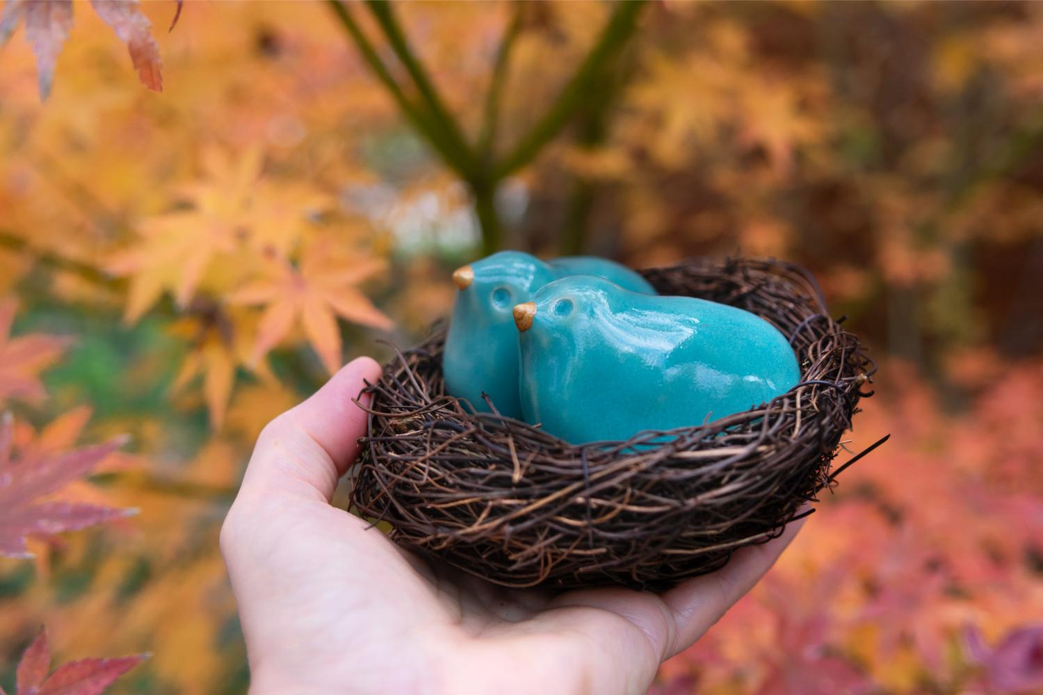 Pair of turquoise birds in a nest - Image 4