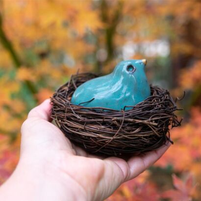 Turquoise bird in a nest