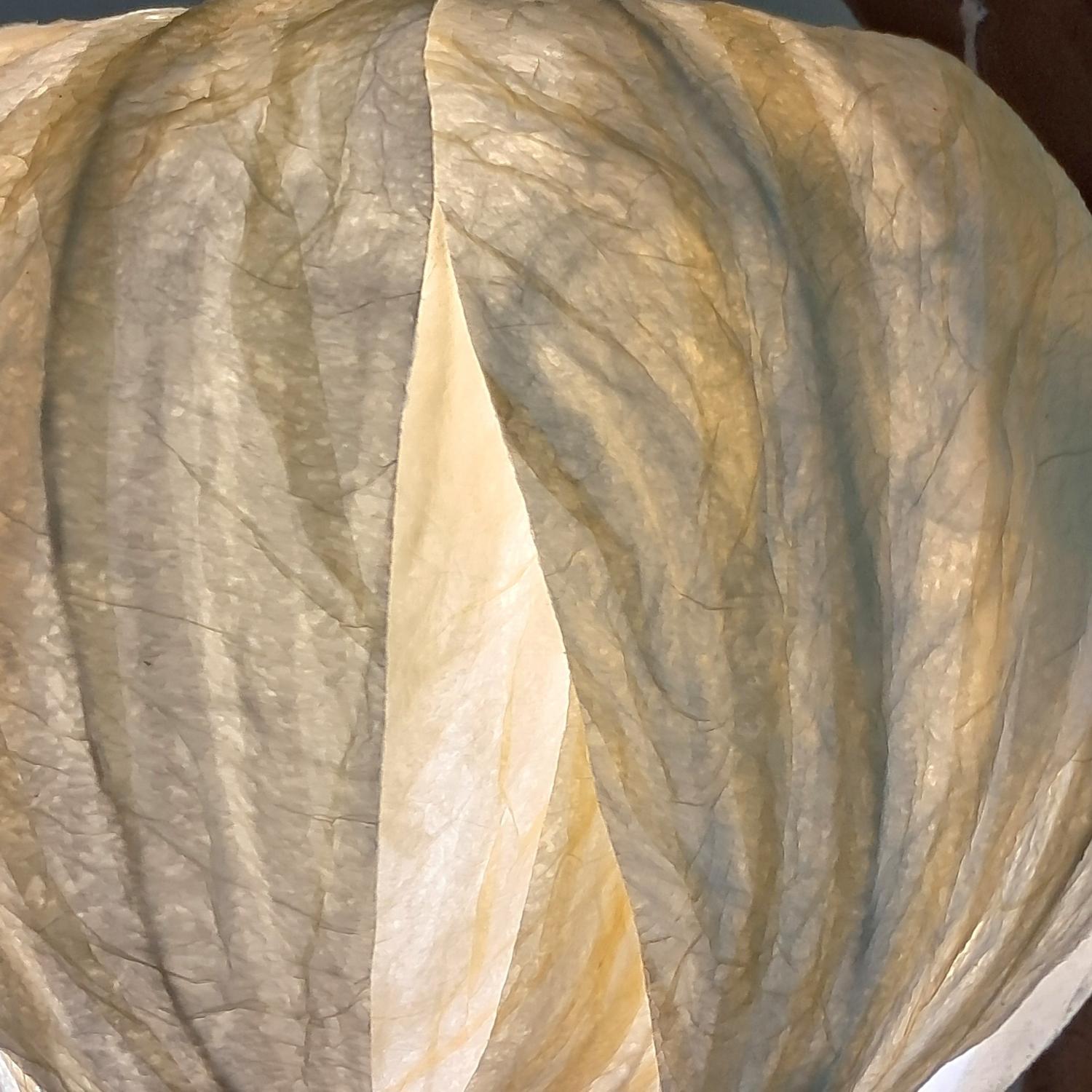 Lotus shape shade - Image 4