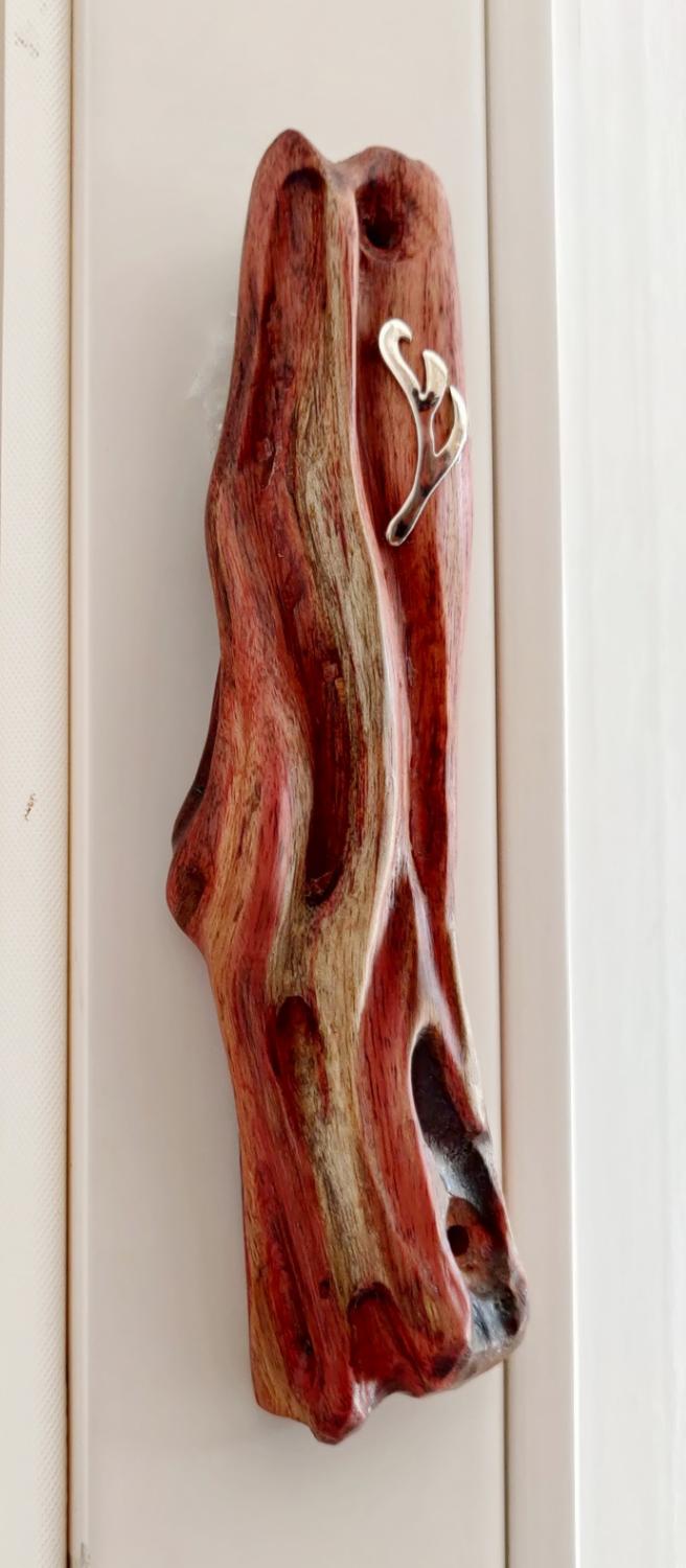 carob tree - Image 2