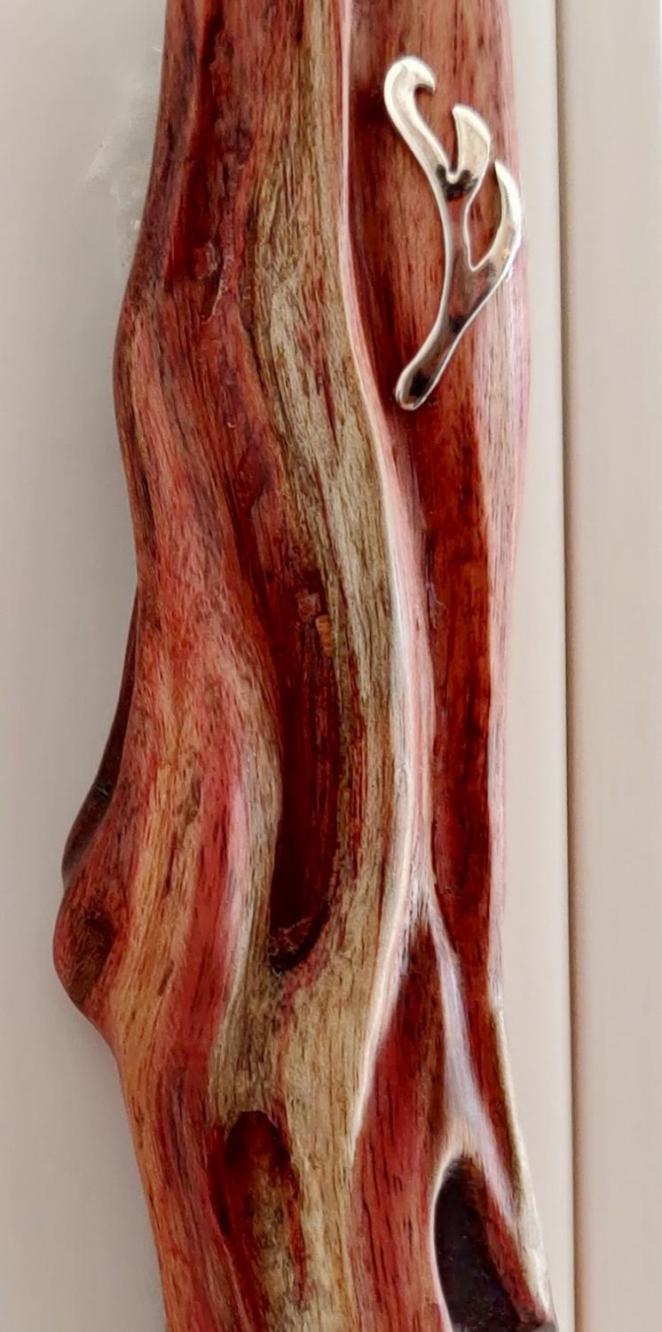 carob tree - Image 3