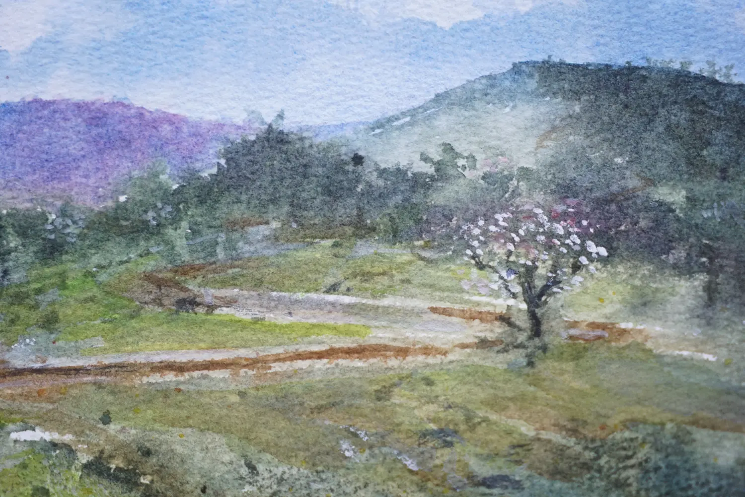 ALMOND BLOSSOM - Image 2
