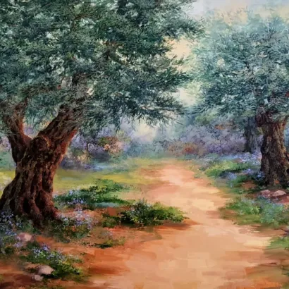 Olive Trees In The Rosh Pina Wadi