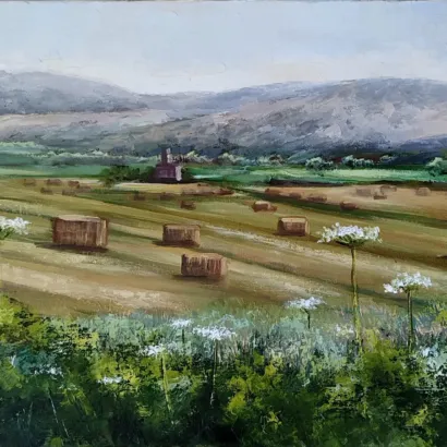 Galilean Wheat Field