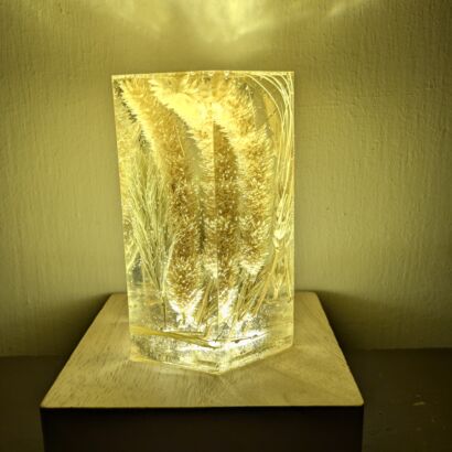 Wheat and Foxtail Grass