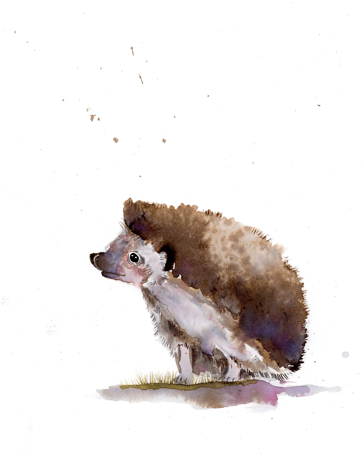 The Storyteller - Image 4