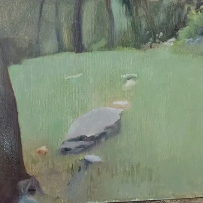 Clearance in the forest