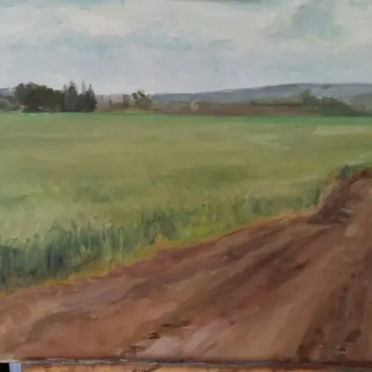 Field in the Hula Valley