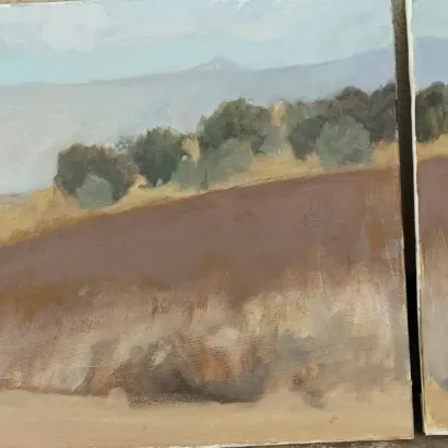Field and Olives