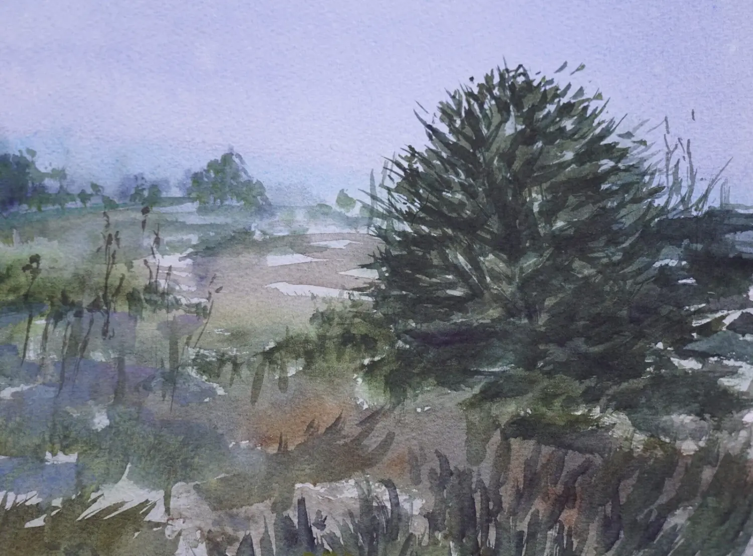 Galilee Forest Path - Image 3