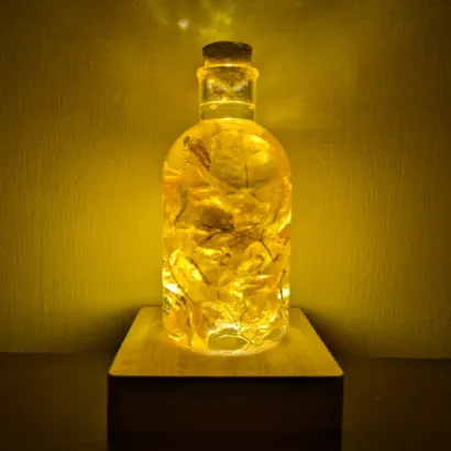 Orange Bougainvillea