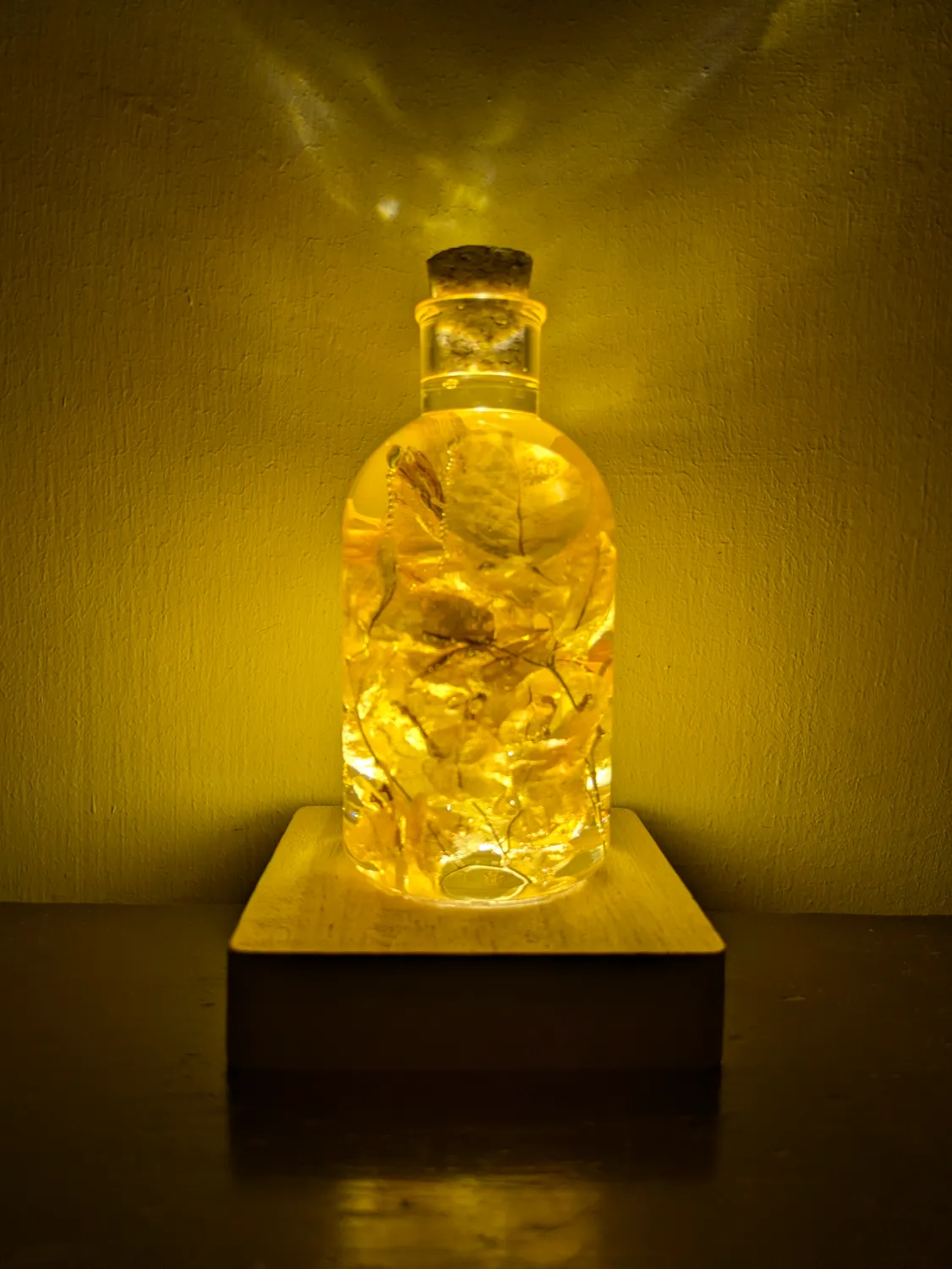 Orange Bougainvillea