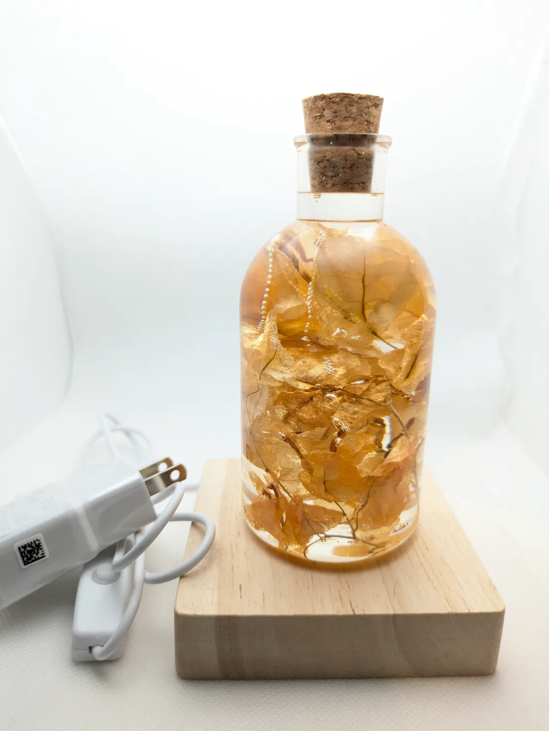 Orange Bougainvillea - Image 3