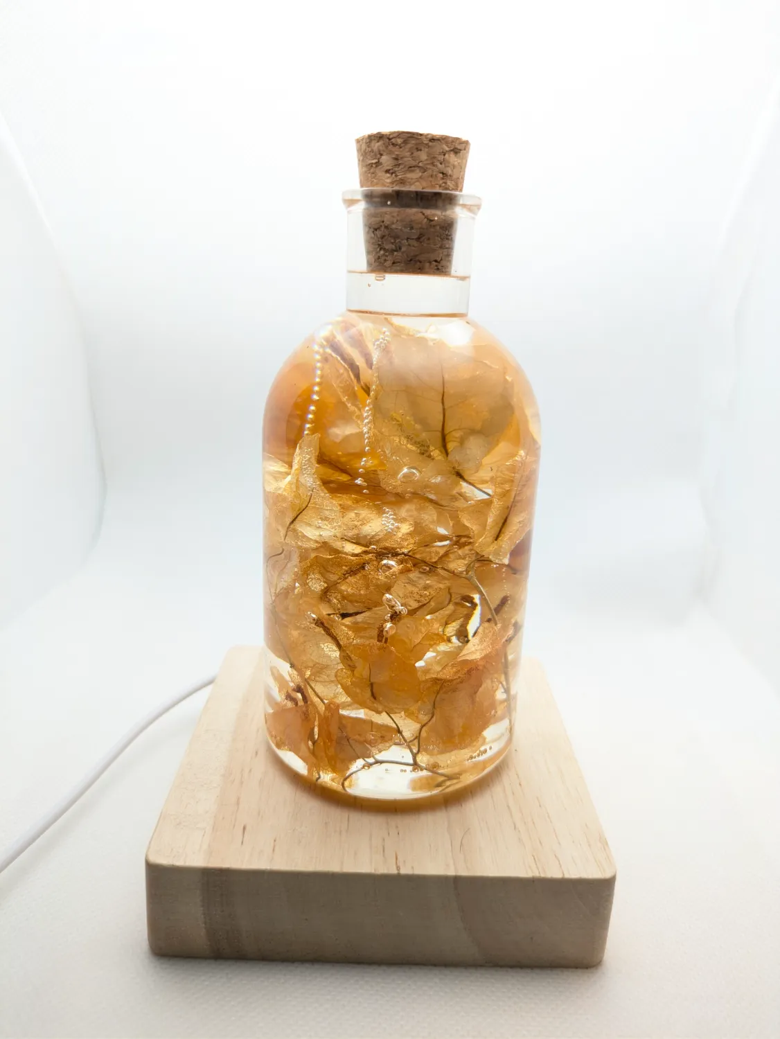 Orange Bougainvillea - Image 4